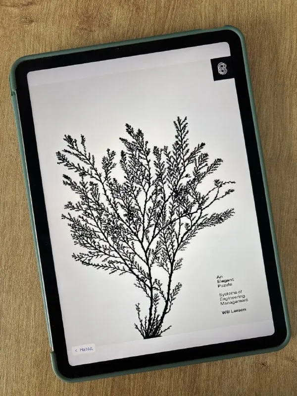 Обложка книги An Elegant Puzzle Уилла Ларсона на экране планшета