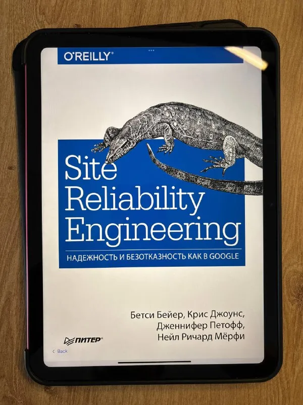 Обложка книги «Site Reliability Engineering. Надёжность и безотказность как в Google»